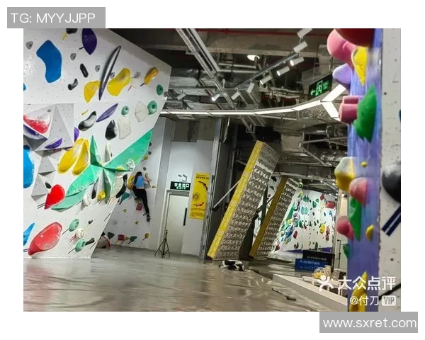 深圳攀岩队实力深度对比及未来发展潜力分析