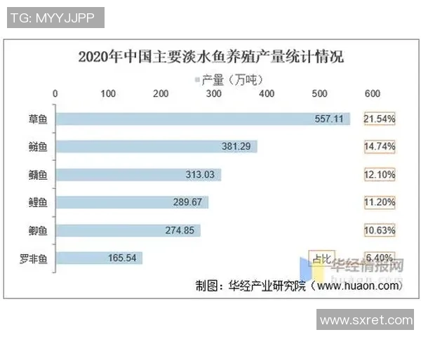 热议王者荣耀：LNG战队状态转变与未来发展趋势分析